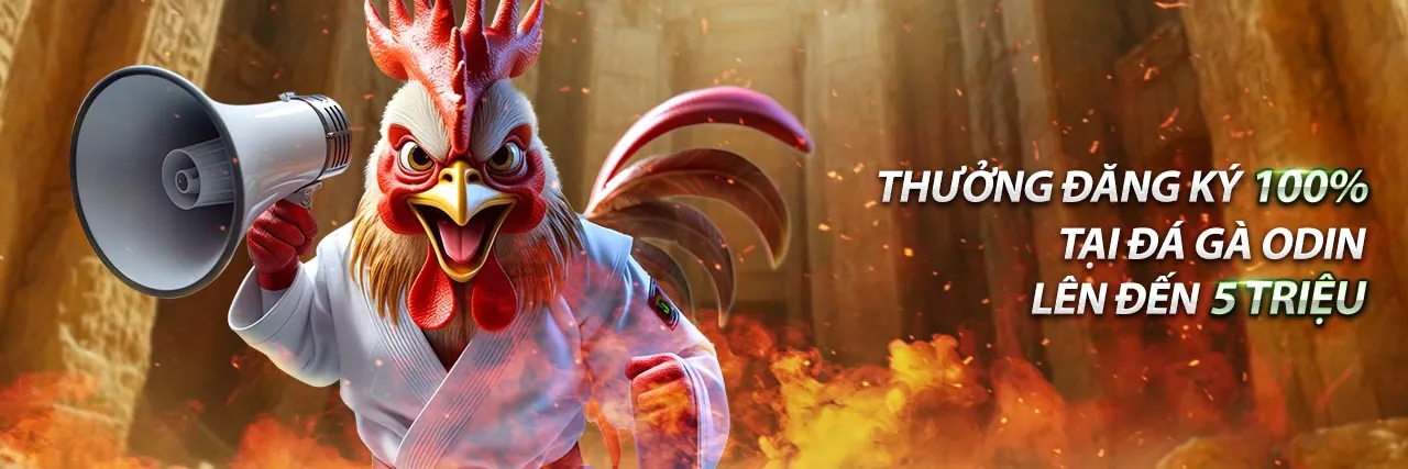 Biểu đồ hiển thị các loại tỷ lệ cược và phân tích trận đấu